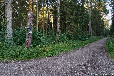 Gemeinde Mühldorfer_Hart Landkreis Mühldorf Massengrab (Dirschl Johann) Deutschland MÜ